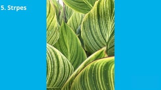 Exploring Patterns in Art and Nature: Fibonacci, Symmetry, Fractals ...