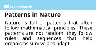 Exploring Patterns in Art and Nature: Fibonacci, Symmetry, Fractals ...