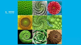 Exploring Patterns in Art and Nature: Fibonacci, Symmetry, Fractals ...
