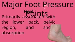 Heel
Primarily associated with
the lower back, pelvic
region, and shock
absorption
Major Foot Pressure
Points
 