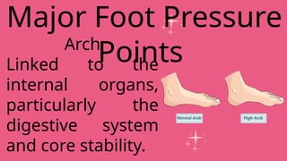 Arch
Linked to the
internal organs,
particularly the
digestive system
and core stability.
Major Foot Pressure
Points
 