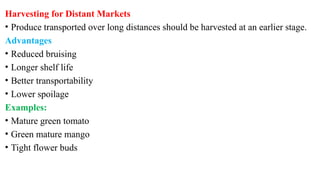 Harvesting for Distant Markets
• Produce transported over long distances should be harvested at an earlier stage.
Advantages
• Reduced bruising
• Longer shelf life
• Better transportability
• Lower spoilage
Examples:
• Mature green tomato
• Green mature mango
• Tight flower buds
 