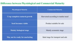 Difference between Physiological and Commercial Maturity
Physiological Maturity Commercial Maturity
Crop completes natural growth Harvested according to market need
Seed becomes viable Product suitable for sale
Mainly biological stage Mainly economic stage
May not be ready for marketing Ideal stage for transport and sale
 