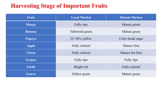 Harvesting Stage of Important Fruits
Fruit Local Market Distant Market
Mango Fully ripe Mature green
Banana Yellowish-green Mature green
Papaya 25–50% yellow Color break stage
Apple Fully colored Mature firm
Citrus Fully colored Mature but firm
Grapes Fully ripe Fully ripe
Litchi Bright red Fully colored
Guava Yellow-green Mature green
 