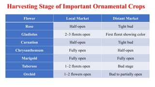 Harvesting Stage of Important Ornamental Crops
Flower Local Market Distant Market
Rose Half-open Tight bud
Gladiolus 2–3 florets open First floret showing color
Carnation Half-open Tight bud
Chrysanthemum Fully open Half-open
Marigold Fully open Fully open
Tuberose 1–2 florets open Bud stage
Orchid 1–2 flowers open Bud to partially open
 
