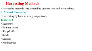 Harvesting Methods
• Harvesting methods vary depending on crop type and intended use.
A. Manual Harvesting
• Harvesting by hand or using simple tools.
Tools Used
• Secateurs
• Pruning shears
• Sharp knife
• Sickle
• Scissors
• Picking bags
 