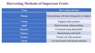 Harvesting Methods of Important Fruits
Crop Harvesting Method
Mango Hand picking with harvesting pole or clippers
Citrus Clipped with secateurs
Apple Hand twisting without pulling
Banana Cut bunch using sharp knife
Papaya Hand picking with knife
Grapes Cluster cut with secateurs
Litchi Cut fruit bunch with branch attached
 