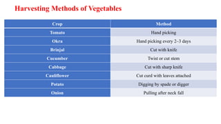 Harvesting Methods of Vegetables
Crop Method
Tomato Hand picking
Okra Hand picking every 2–3 days
Brinjal Cut with knife
Cucumber Twist or cut stem
Cabbage Cut with sharp knife
Cauliflower Cut curd with leaves attached
Potato Digging by spade or digger
Onion Pulling after neck fall
 