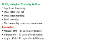 B. Physiological Maturity Indices
• Age from flowering
• Days after fruit set
• Days after planting
• Seed maturity
• Maximum dry matter accumulation
Examples:
• Mango: 100–120 days after fruit set
• Banana: 90–120 days after shooting
• Apple: 120–150 days after full bloom
 