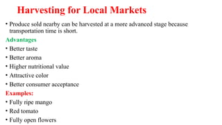 Harvesting for Local Markets
• Produce sold nearby can be harvested at a more advanced stage because
transportation time is short.
Advantages
• Better taste
• Better aroma
• Higher nutritional value
• Attractive color
• Better consumer acceptance
Examples:
• Fully ripe mango
• Red tomato
• Fully open flowers
 