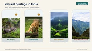 Natural heritage in India
World Heritage also protects ecosystems and biodiversity.
4.1 CULTURAL &
NATURAL HERITAGE
World Heritage Archaeological Sites & Monuments in India • Slide 16 UNESCO India State Party page
KAZIRANGA
Rhino • floodplain
SUNDARBANS
Mangrove • tiger • delta
WESTERN GHATS
Biodiversity • mountains
HIMALAYAN HERITAGE
Mountains • ecology
 