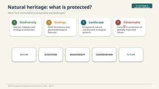Natural heritage: what is protected?
Move from monuments to ecosystems and landscapes.
4.1 CULTURAL &
NATURAL HERITAGE
World Heritage Archaeological Sites & Monuments in India • Slide 17
1 Biodiversity
Species, habitats and
ecological processes.
2 Geology
Earth formations and
geomorphological
features.
3 Landscape
Exceptional natural
scenery and ecological
systems.
4 Conservatio
n
Long-term protection of
globally important
values.
NATURE → ECOSYSTEM → BIODIVERSITY → CONSERVATION → FUTURE
 