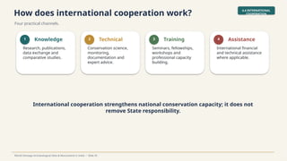 How does international cooperation work?
Four practical channels.
4.4 INTERNATIONAL
COOPERATION
World Heritage Archaeological Sites & Monuments in India • Slide 35
1 Knowledge
Research, publications,
data exchange and
comparative studies.
2 Technical
Conservation science,
monitoring,
documentation and
expert advice.
3 Training
Seminars, fellowships,
workshops and
professional capacity
building.
4 Assistance
International financial
and technical assistance
where applicable.
International cooperation strengthens national conservation capacity; it does not
remove State responsibility.
 