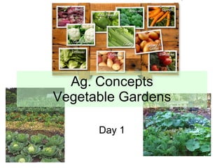 Ag. Concepts Vegetable Gardens Day 1 