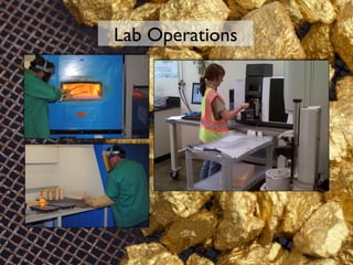 Lab Operations
11
 