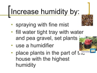 Increase humidity by: spraying with fine mist fill water tight tray with water and pea gravel, set plants in it use a humidifier place plants in the part of the house with the highest humidity  
