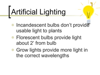 Artificial Lighting Incandescent bulbs don’t provide usable light to plants Florescent bulbs provide light about 2’ from bulb Grow lights provide more light in the correct wavelengths 