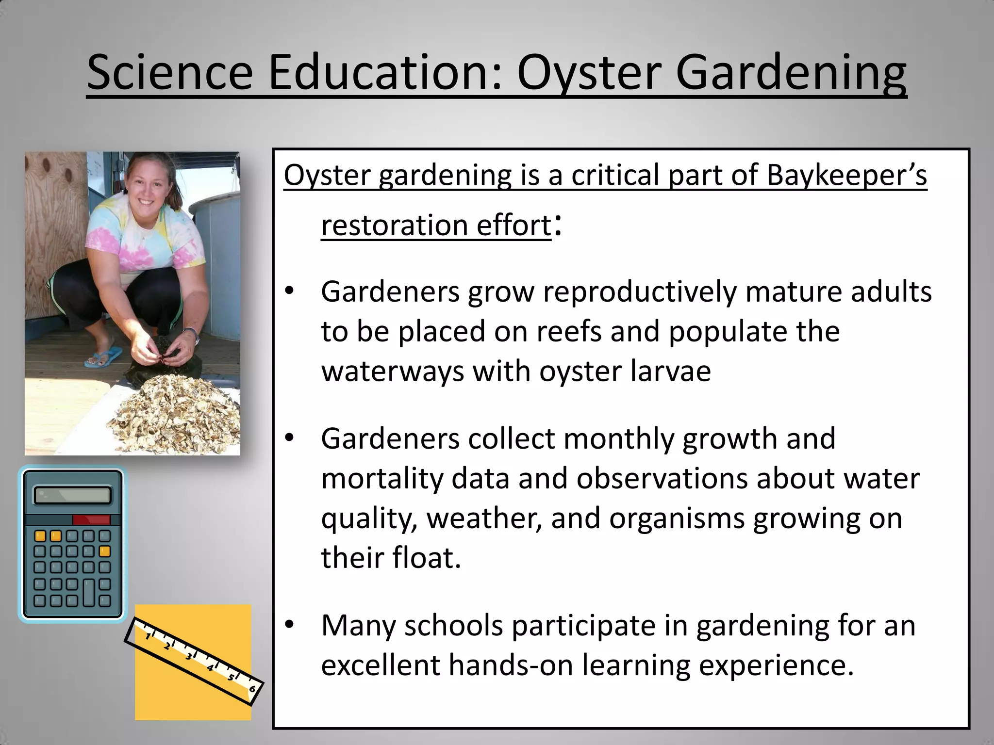 Science Education: Oyster Gardening
        Oyster gardening is a critical part of Baykeeper’s
          restoration effort:

        • Gardeners grow reproductively mature adults
          to be placed on reefs and populate the
          waterways with oyster larvae

        • Gardeners collect monthly growth and
          mortality data and observations about water
          quality, weather, and organisms growing on
          their float.

        • Many schools participate in gardening for an
          excellent hands-on learning experience.
 