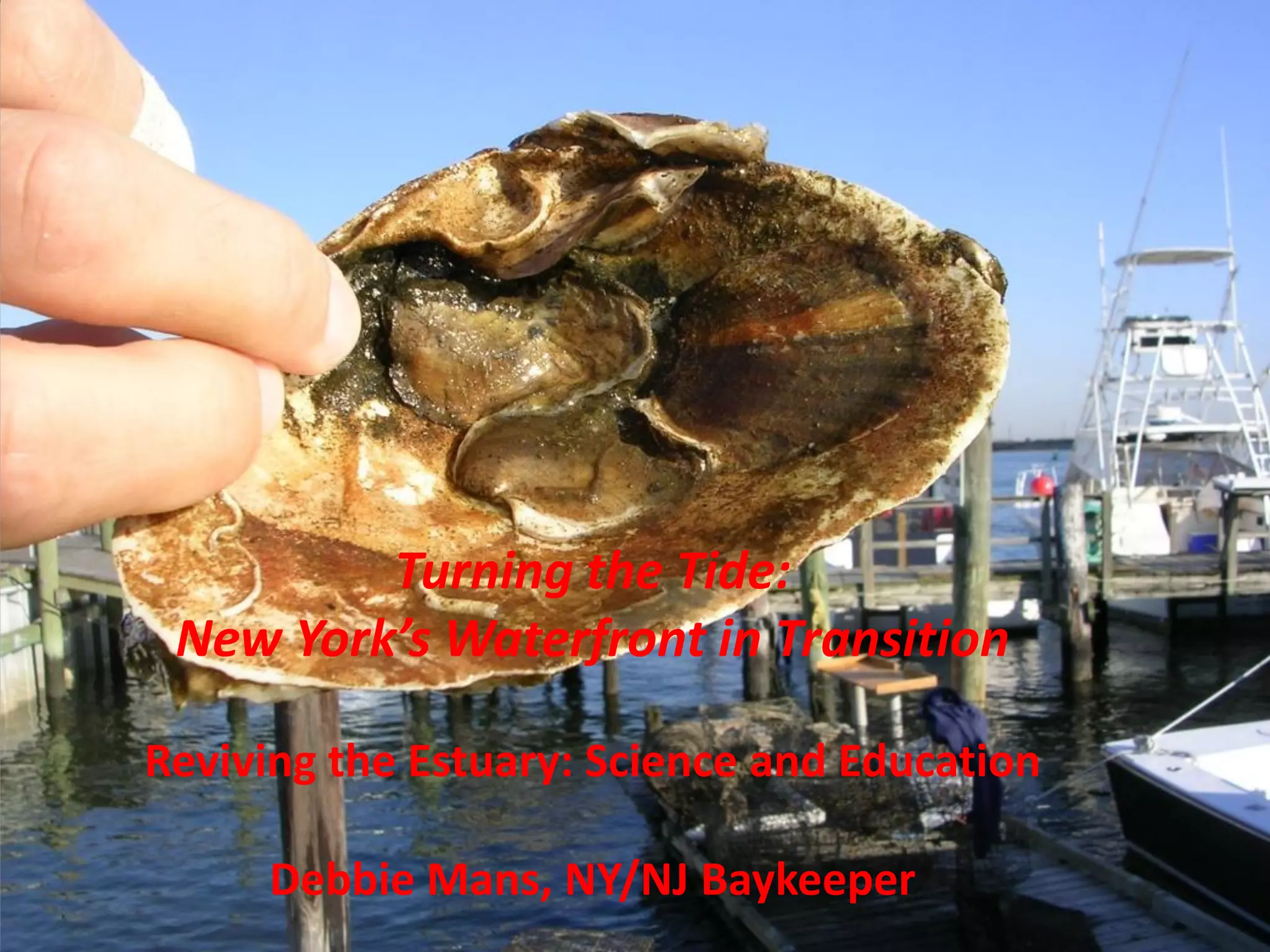 Turning the Tide:
 New York’s Waterfront in Transition

Reviving the Estuary: Science and Education

     Debbie Mans, NY/NJ Baykeeper
 