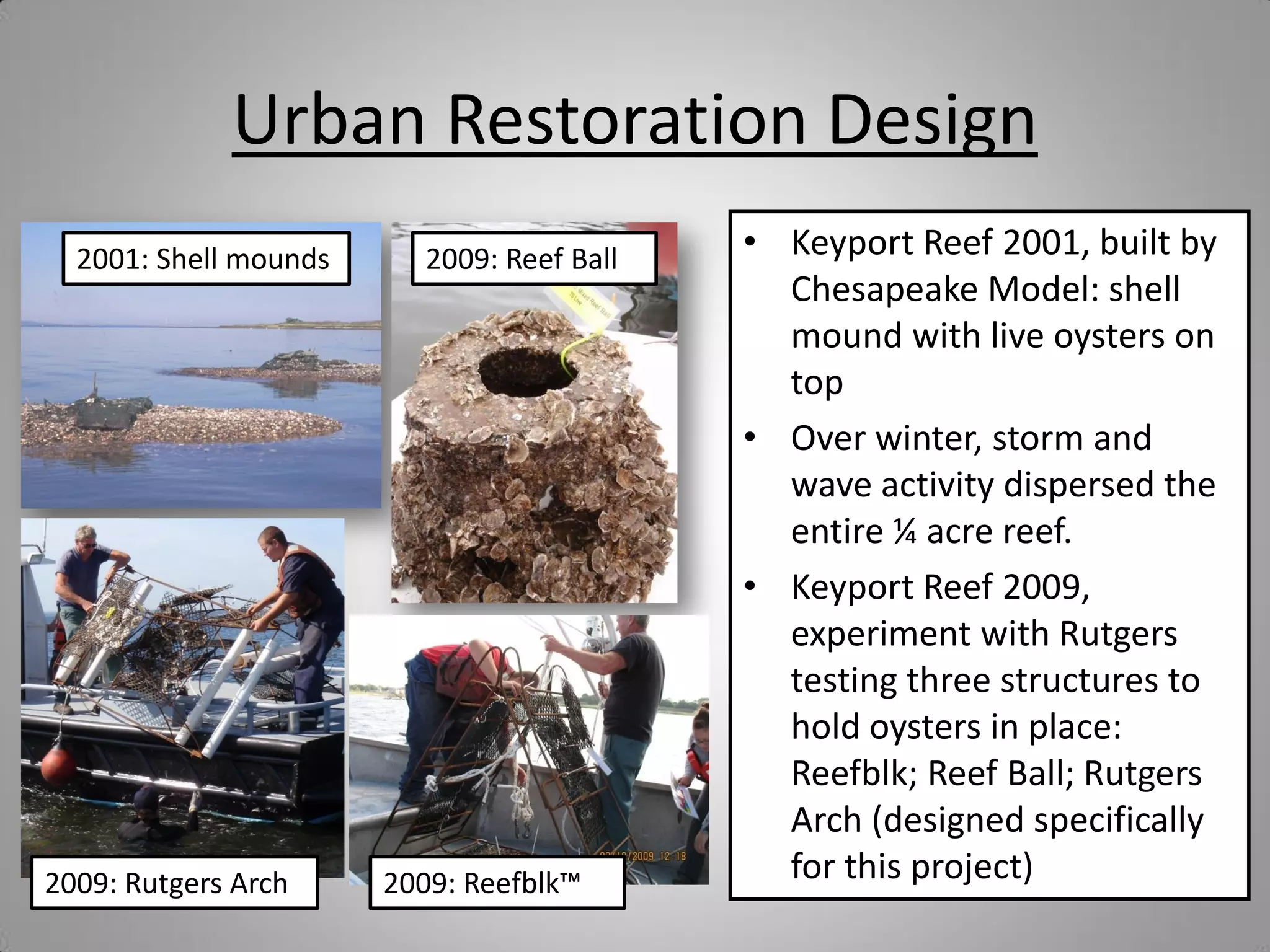 Urban Restoration Design
  2001: Shell mounds     2009: Reef Ball   • Keyport Reef 2001, built by
                                             Chesapeake Model: shell
                                             mound with live oysters on
                                             top
                                           • Over winter, storm and
                                             wave activity dispersed the
                                             entire ¼ acre reef.
                                           • Keyport Reef 2009,
                                             experiment with Rutgers
                                             testing three structures to
                                             hold oysters in place:
                                             Reefblk; Reef Ball; Rutgers
                                             Arch (designed specifically
2009: Rutgers Arch     2009: Reefblk™        for this project)
 