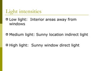 Light intensities Low light:  Interior areas away from windows Medium light: Sunny location indirect light High light:  Sunny window direct light 