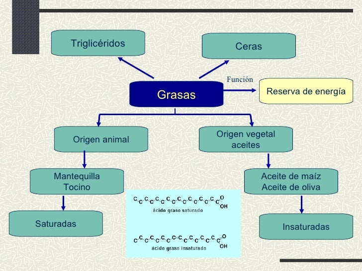 4.2 biomoleculas.ppt