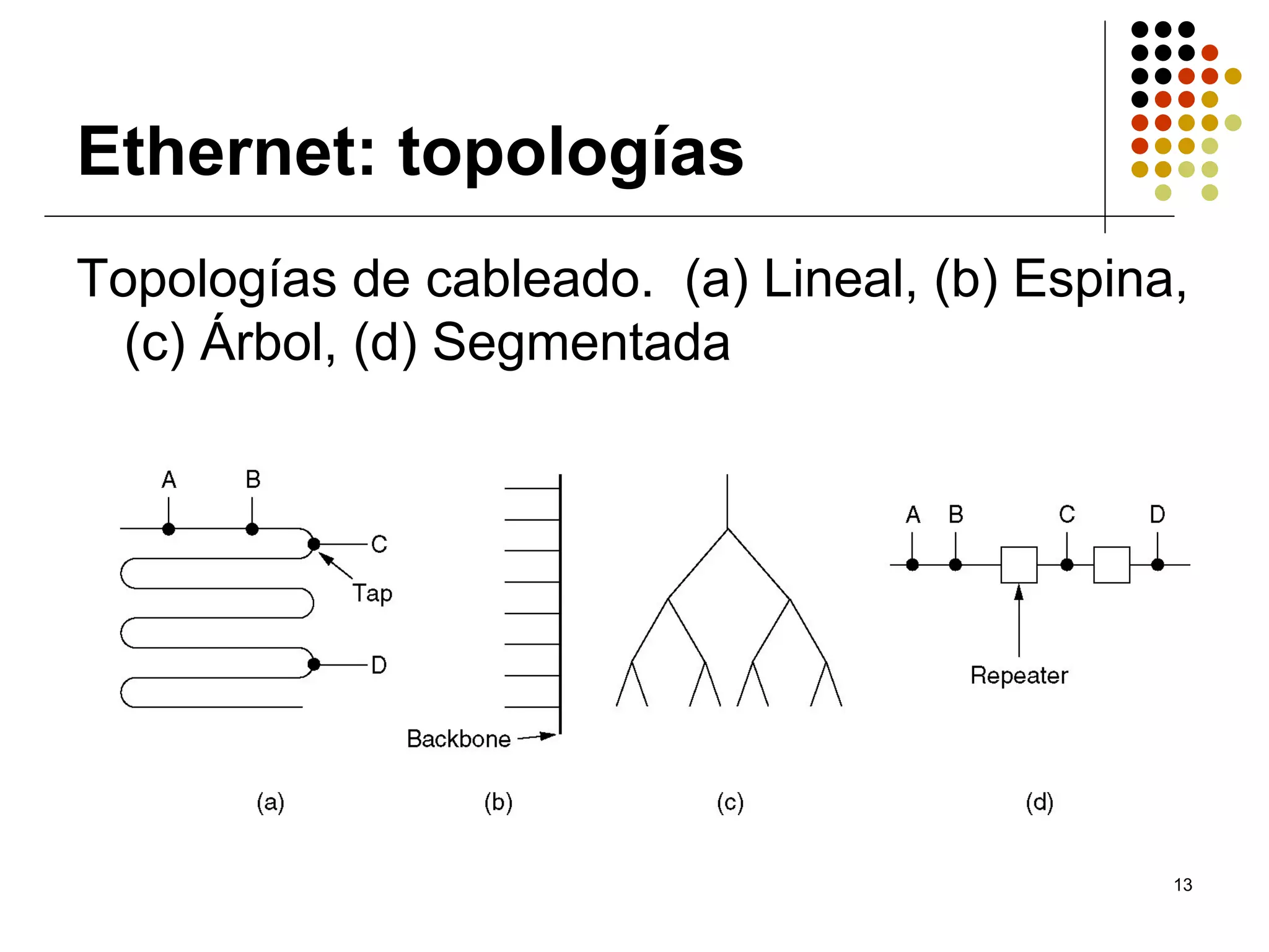 Ethernet: topologías
Topologías de cableado. (a) Lineal, (b) Espina,
  (c) Árbol, (d) Segmentada




                                              13
 