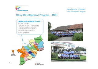Dairy farming in Vietnam
                                      Dairy Development Program

    Dairy Development Program - DDP

     OPERATION REGION OF FCV
     - 2,500 FARMS
     - 27,200 HEADs - HERD SIZE
     - 40 COLLECTION POINTS
     - 2 CHILLING CENTRES
     - 70 STAFF DDP




9
 