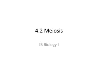 4.2 Meiosis IB Biology I 