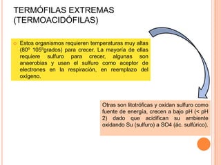 TERMÓFILAS EXTREMAS
(TERMOACIDÓFILAS)

   Estos organismos requieren temperaturas muy altas
    (80º 105ºgrados) para crecer. La mayoría de ellas
    requiere sulfuro para crecer, algunas son
    anaerobias y usan el sulfuro como aceptor de
    electrones en la respiración, en reemplazo del
    oxígeno.




                                   Otras son litotróficas y oxidan sulfuro como
                                   fuente de energía, crecen a bajo pH (< pH
                                   2) dado que acidifican su ambiente
                                   oxidando Su (sulfuro) a SO4 (ác. sulfúrico).
 
