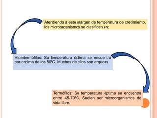Atendiendo a este margen de temperatura de crecimiento,
               los microorganismos se clasifican en:




Hipertermófilos: Su temperatura óptima se encuentra
por encima de los 80ºC. Muchos de ellos son arqueas.




                    Termófilos: Su temperatura óptima se encuentra
                    entre 45-70ºC. Suelen ser microorganismos de
                    vida libre.
 