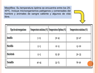 Mesófilos: Su temperatura óptima se encuentra entre los 25-
45ºC. Incluye microorganismos patógenos y comensales del
hombre y animales de sangre caliente y algunos de vida
libre.
 