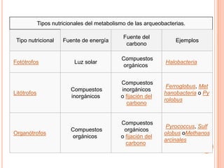 Tipos nutricionales del metabolismo de las arqueobacterias.

                                               Fuente del
 Tipo nutricional      Fuente de energía                            Ejemplos
                                                carbono

                                              Compuestos
Fotótrofos                 Luz solar                            Halobacteria
                                              orgánicos


                                              Compuestos
                                                                Ferroglobus, Met
                          Compuestos          inorgánicos
Litótrofos                                                     hanobacteria o Py
                          inorgánicos         o fijación del
                                                               rolobus
                                                 carbono


                                              Compuestos
                                                               Pyrococcus, Sulf
                          Compuestos           orgánicos
Organótrofos                                                   olobus oMethanos
                           orgánicos          o fijación del
                                                               arcinales
                                                carbono
 