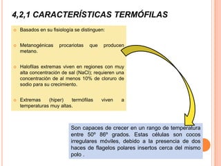 4,2,1 CARACTERÍSTICAS TERMÓFILAS
   Basados en su fisiología se distinguen:


   Metanogénicas     procariotas   que   producen
    metano.


   Halofilas extremas viven en regiones con muy
    alta concentración de sal (NaCl); requieren una
    concentración de al menos 10% de cloruro de
    sodio para su crecimiento.


   Extremas    (hiper)   termófilas      viven   a
    temperaturas muy altas.



                           Son capaces de crecer en un rango de temperatura
                           entre 50º 86º grados. Estas células son cocos
                           irregulares móviles, debido a la presencia de dos
                           haces de flagelos polares insertos cerca del mismo
                           polo .
 