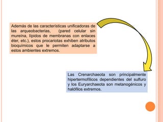 Además de las características unificadoras de
las arqueobacterias,        (pared celular sin
mureína, lípidos de membranas con enlaces
éter, etc.), estos procariotas exhiben atributos
bioquímicos que le permiten adaptarse a
estos ambientes extremos.




                                Las Crenarchaeota son principalmente
                                hipertermofílicos dependientes del sulfuro
                                y los Euryarchaeota son metanogénicos y
                                halófilos extremos.
 