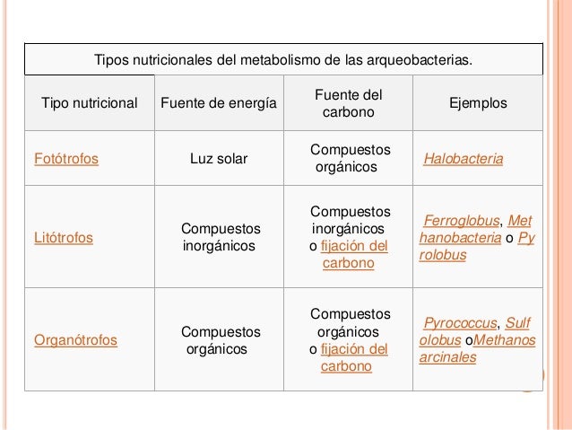 el poder del metabolismo españa se explica