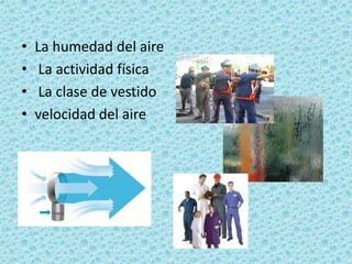 La humedad del aire La actividad física La clase de vestido velocidad del aire