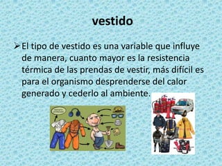 4.2 temperatura exposicion de ergonomia