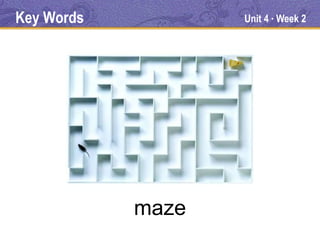 Key Words          Unit 4 Week 2
                        ●




            maze
 