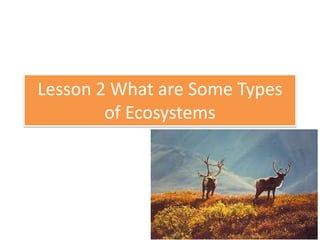 Lesson 2 What are Some Types
        of Ecosystems
 
