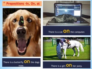 *   Prepositions -In, On, at




                                 There is a cat   on the computer.




                   on the dogs
There is a butterfly
               nose.               There is a girl   on her pony.
 