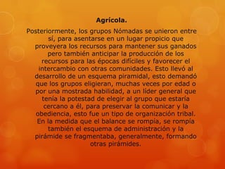 Agrícola.
Posteriormente, los grupos Nómadas se unieron entre
       sí, para asentarse en un lugar propicio que
  proveyera los recursos para mantener sus ganados
       pero también anticipar la producción de los
     recursos para las épocas difíciles y favorecer el
    intercambio con otras comunidades. Esto llevó al
  desarrollo de un esquema piramidal, esto demandó
   que los grupos eligieran, muchas veces por edad o
  por una mostrada habilidad, a un líder general que
     tenía la potestad de elegir al grupo que estaría
      cercano a él, para preservar la comunicar y la
   obediencia, esto fue un tipo de organización tribal.
   En la medida que el balance se rompía, se rompía
       también el esquema de administración y la
  pirámide se fragmentaba, generalmente, formando
                     otras pirámides.
 