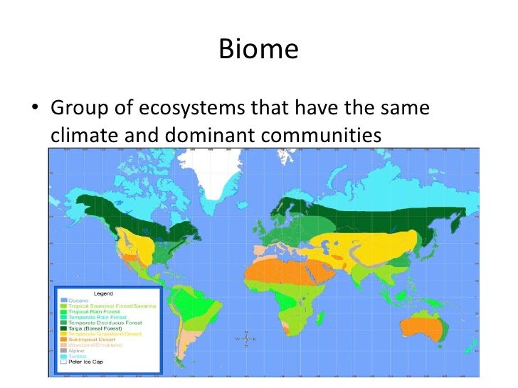 4 3 biomes(biology)