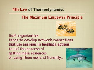 4th Law of Thermodynamics
       The Maximum Empower Principle



Self-organization
tends to develop network connections
that use energies in feedback actions
to aid the process of
getting more resources
or using them more efficiently...
 