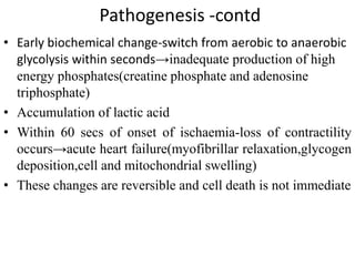 Pathogenesis -contd
• Early biochemical change-switch from aerobic to anaerobic
glycolysis within seconds→inadequate production of high
energy phosphates(creatine phosphate and adenosine
triphosphate)
• Accumulation of lactic acid
• Within 60 secs of onset of ischaemia-loss of contractility
occurs→acute heart failure(myofibrillar relaxation,glycogen
deposition,cell and mitochondrial swelling)
• These changes are reversible and cell death is not immediate
 
