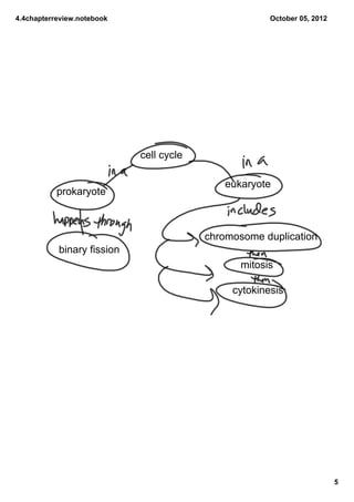 4.4chapterreview.notebook                             October05,2012




                            cellcycle

                                            eukaryote
           prokaryote



                                         chromosomeduplication
           binaryfission
                                                mitosis

                                              cytokinesis




                                                                         5
 