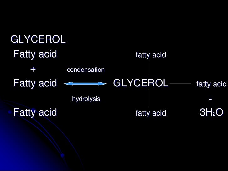 Which Triglycerides Are Solid At Room Temperature Are Called Which Triglycerides Are Solid At Room Temperature Are Called