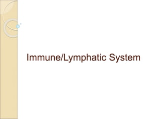 Immune/Lymphatic System
 