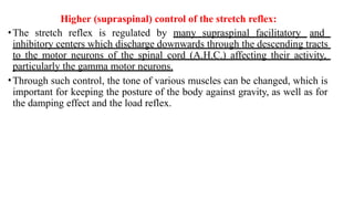 4-5- Reflex activity patterns of spinal and postural reflexes – testing ...
