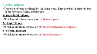 4-5- Reflex activity patterns of spinal and postural reflexes – testing ...